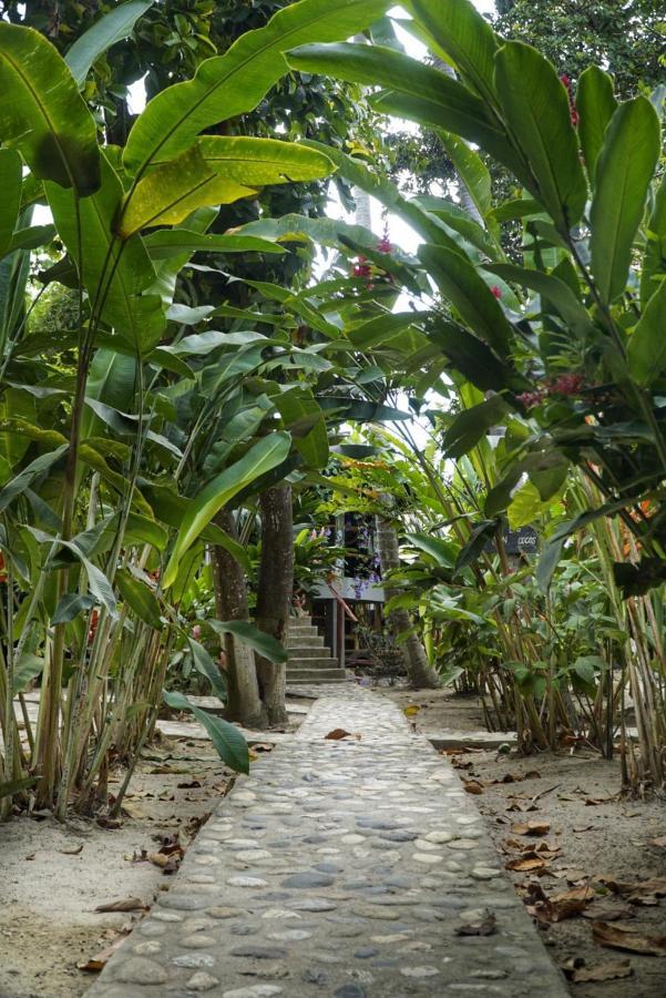 La Playita Hostel Guachaca Exterior photo