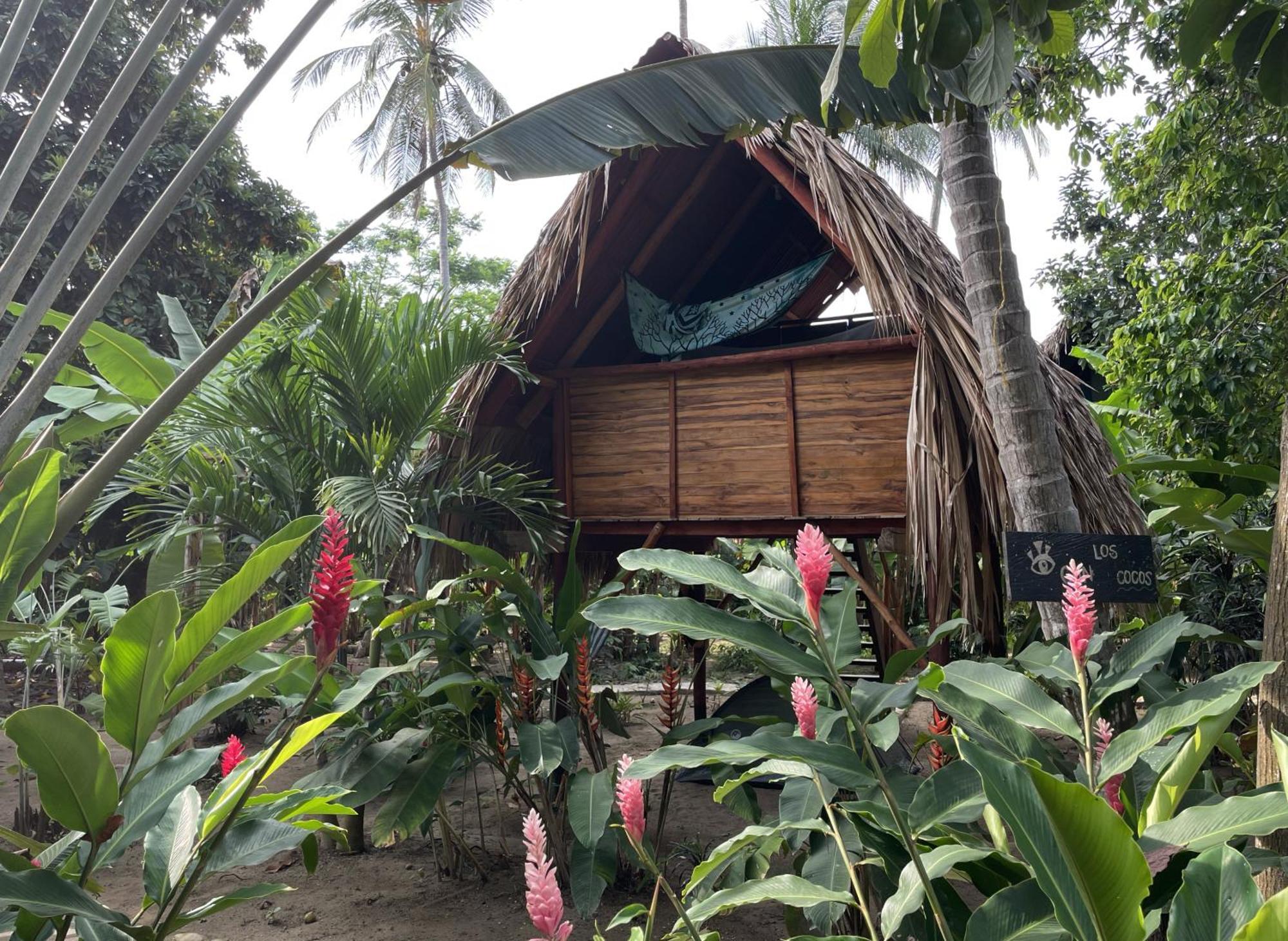 La Playita Hostel Guachaca Exterior photo