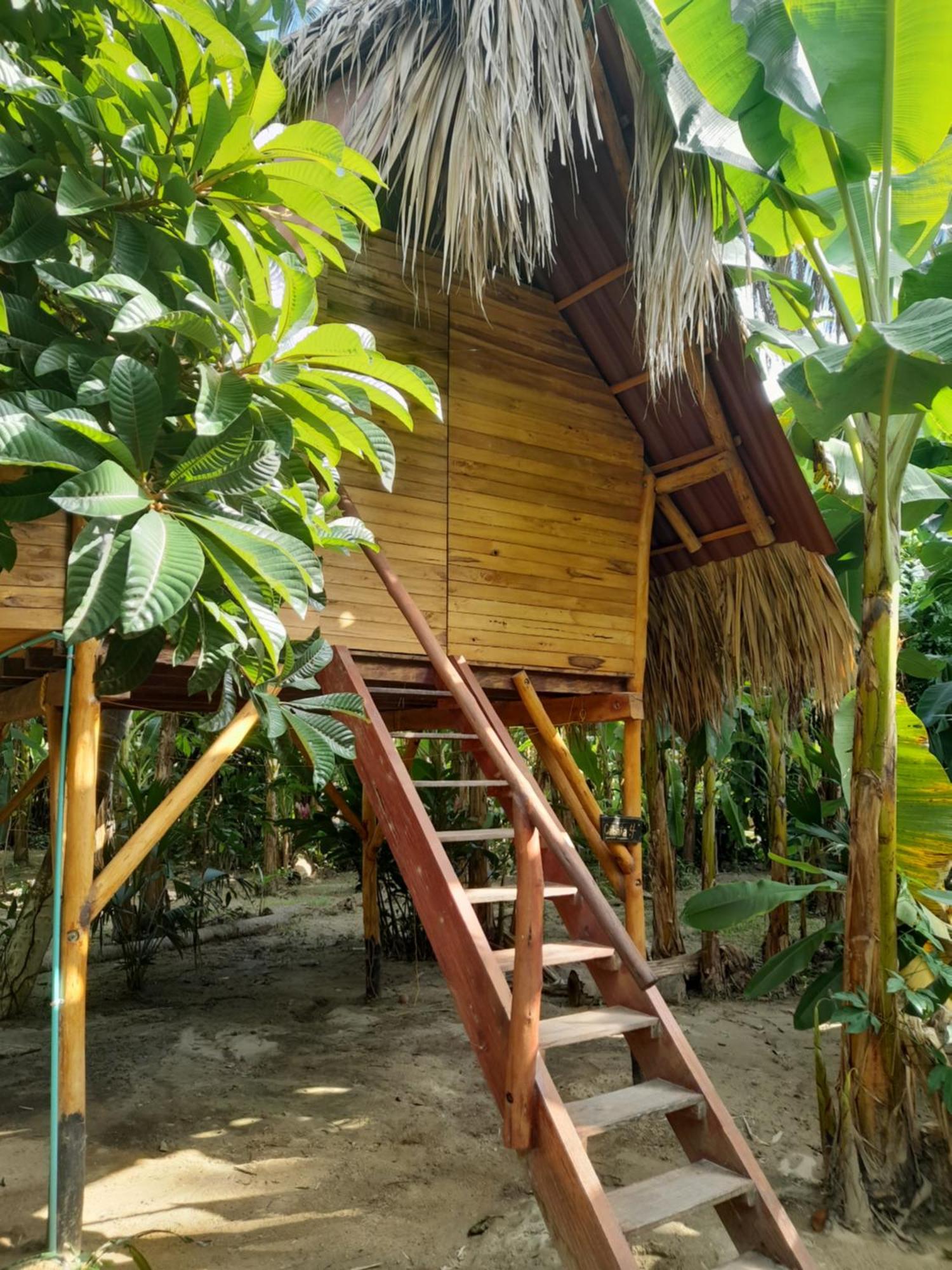 La Playita Hostel Guachaca Exterior photo